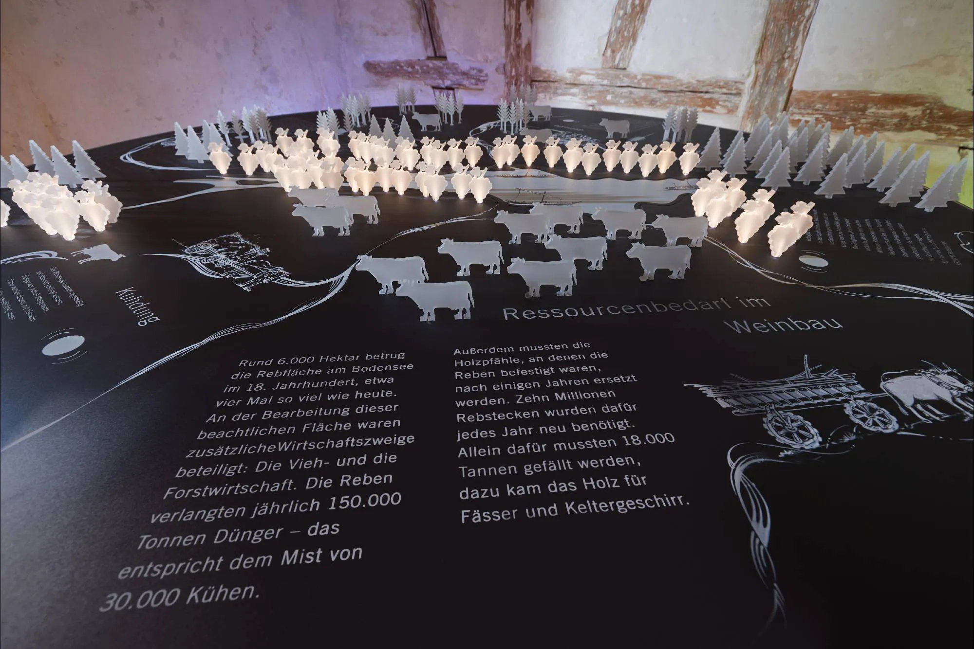 Erstes-UrbanArtEvent in Konstanz